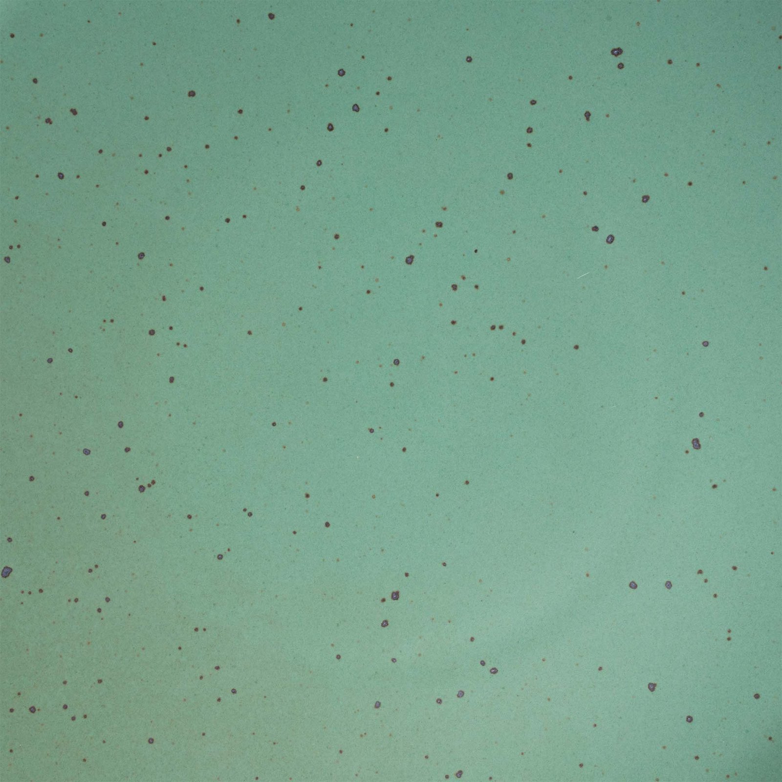 Verllage daily bowl in Viridian, close-up of the green glaze